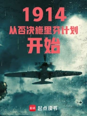 1914从否决施里芬计划开始小说封面