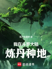 我在斗罗大陆炼丹种地小说封面