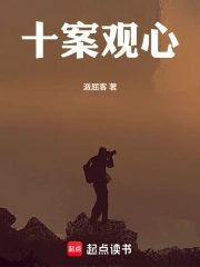 十案观心小说封面