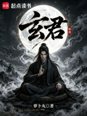 玄君小说封面