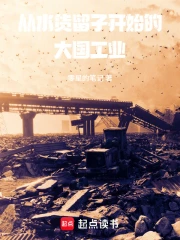 从水货留子开始的大国工业小说封面