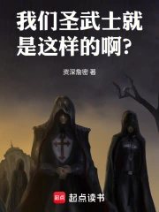 我们圣武士就是这样的啊?小说封面