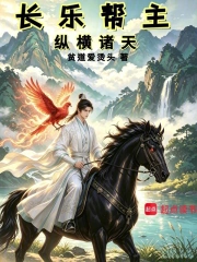 长乐帮主,纵横诸天小说封面