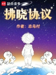 拂晓协议小说封面