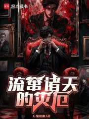 流窜诸天的灾厄小说封面