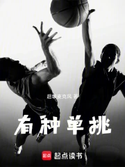 有种单挑小说封面