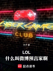 lol:什么叫微博预言家啊!小说封面
