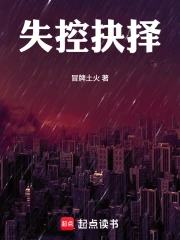 失控抉择小说封面