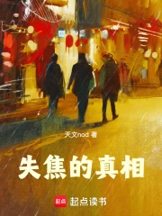 失焦的真相小说封面