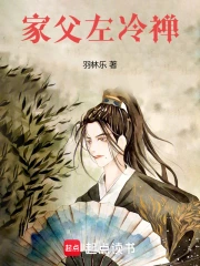 家父左冷禅小说封面