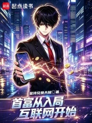 首富从入局互联网开始小说封面