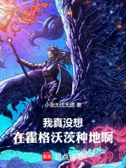 我真没想在霍格沃茨种田啊!小说封面