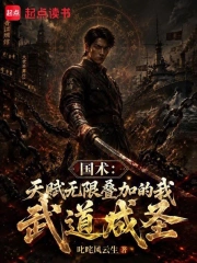 国术:天赋无限叠加的我武道成圣小说封面