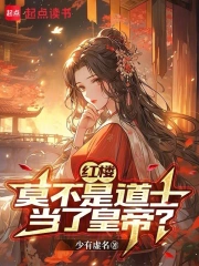 红楼:莫不是道士当了皇帝?小说封面