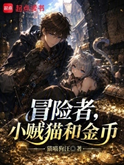 冒险者,小贼猫和金币小说封面