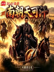南朝天可汗小说封面
