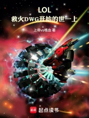 lol:救火dwg开始的世一上小说封面