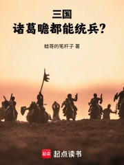 三国:诸葛瞻都能统兵?小说封面