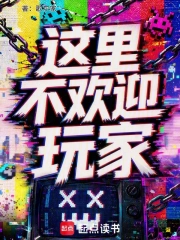 这里不欢迎玩家小说封面