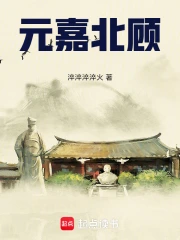 元嘉北顾小说封面