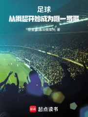 足球:从俄超开始成为唯一罗哥小说封面