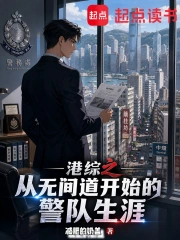 港综之从无间道开始的警队生涯小说封面