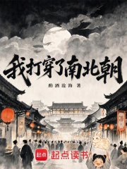 我打穿了南北朝小说封面
