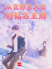 从变形主人公到钻石王牌小说封面