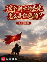 这个骑士的圣光怎么是红色的?小说封面