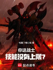 你这战士技能没有上限?小说封面