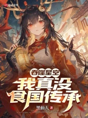 吞噬星空:我真没食国传承小说封面