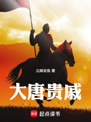 大唐贵戚小说封面