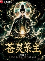 苍灵箓主小说封面