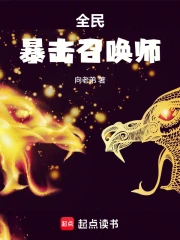 全民:暴击召唤师小说封面