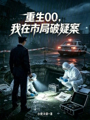重生00,我在市局破疑案小说封面