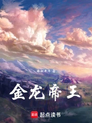 金龙帝王小说封面