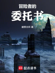 冒险者的委托书小说封面