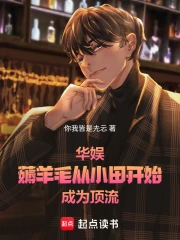 华娱:薅羊毛从小田开始成为顶流小说封面