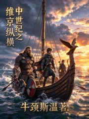 中世纪之维京纵横小说封面