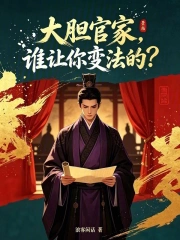 大胆官家,谁让你变法的?小说封面