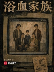 浴血家族小说封面