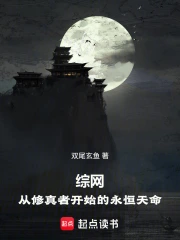 综网:从修真者开始的永恒天命小说封面