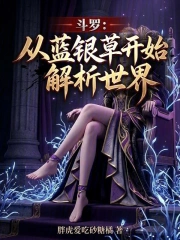 斗罗:从蓝银草开始解析世界小说封面