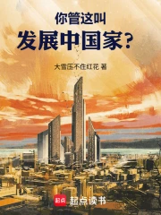 你管这叫发展中国家?小说封面