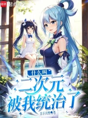 什么叫二次元被我统治了小说封面