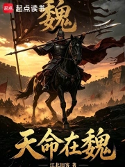 天命在魏:冉闵绝境翻盘录小说封面