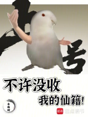 不许没收我的仙籍!小说封面