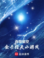 吞噬星空:金手指是小游戏小说封面