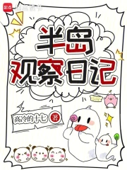 半岛观察日记小说封面