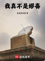 我真不是嫪毐小说封面